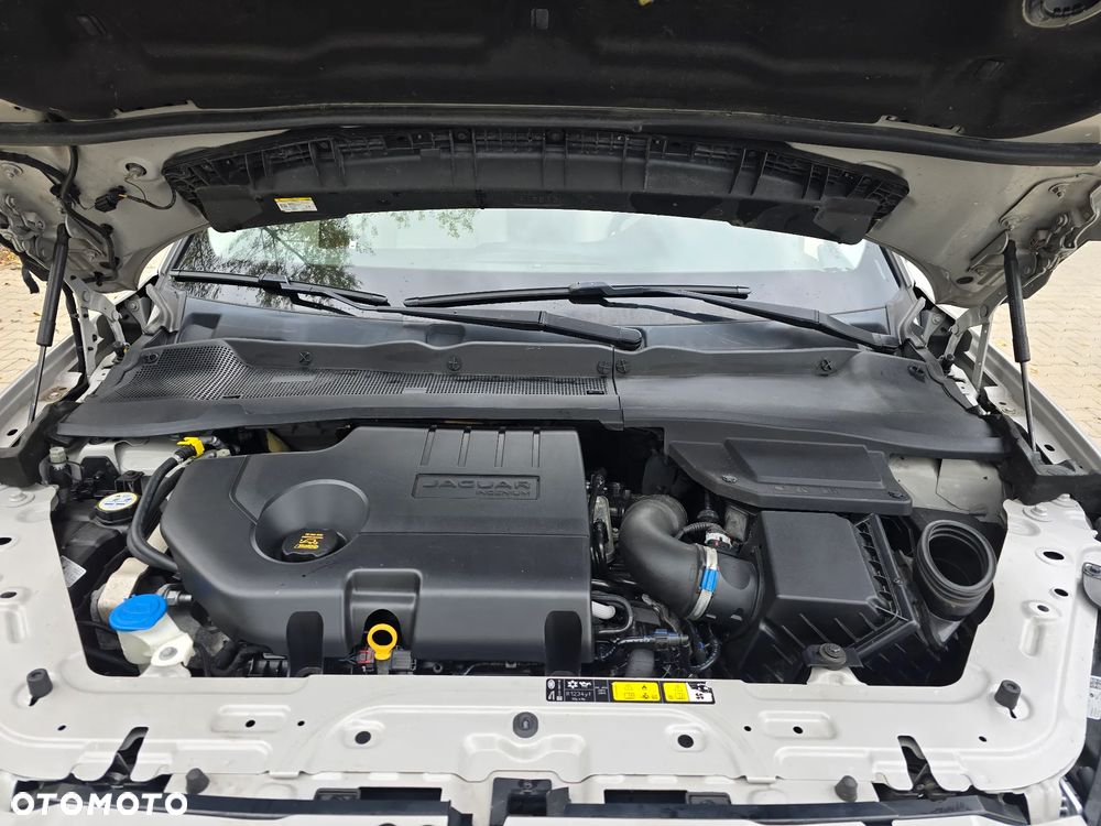 Jaguar E-Pace D150 R-Dynamic - 12