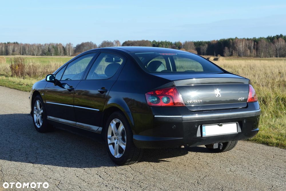 Peugeot 407 - 8