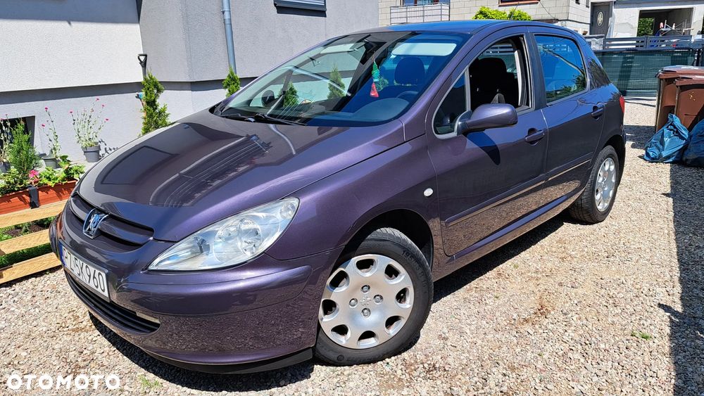 Peugeot 307 HDi 90 Grand Filou - 25
