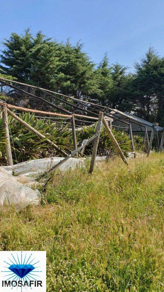 Terreno 1 Hectar com furo e sistema de rega - Grande imagem: 3/7