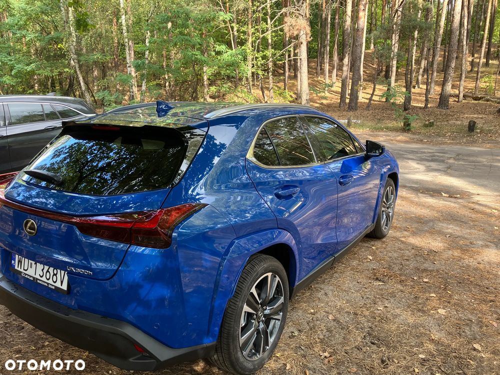 Lexus UX 300h - 15