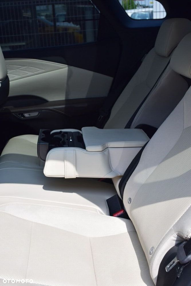 Lexus RX - 18