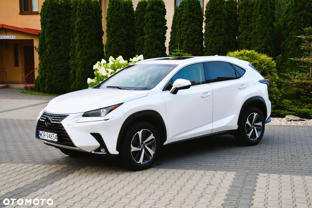 Lexus NX 300 AWD Executive Line - 12