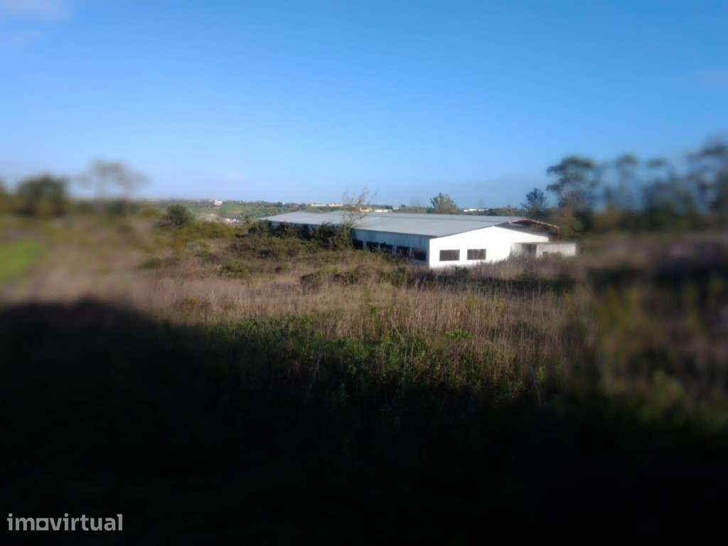 Terreno rustico com cerca de 120.000 m2 em Santarém - Grande imagem: 2/10