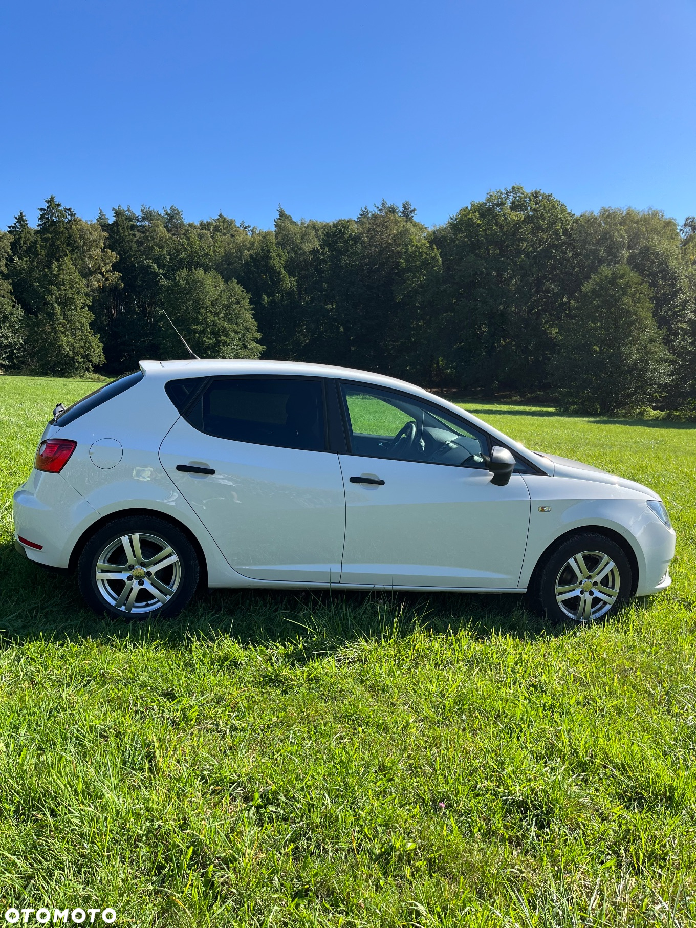 Seat Ibiza 1.0 Reference - 7