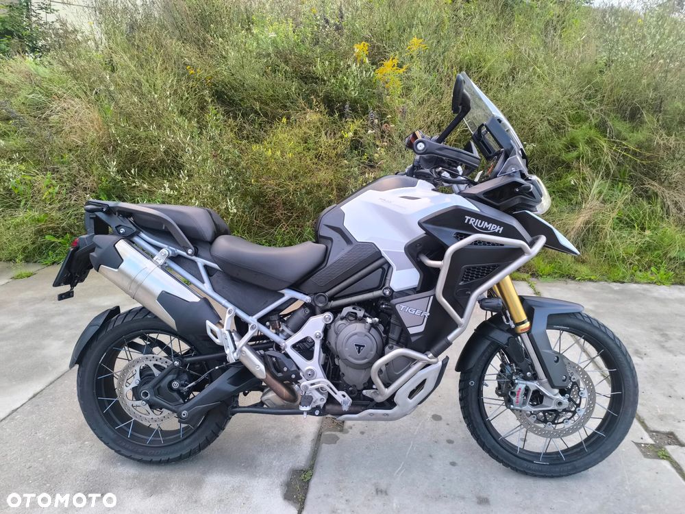 Triumph Tiger - 6