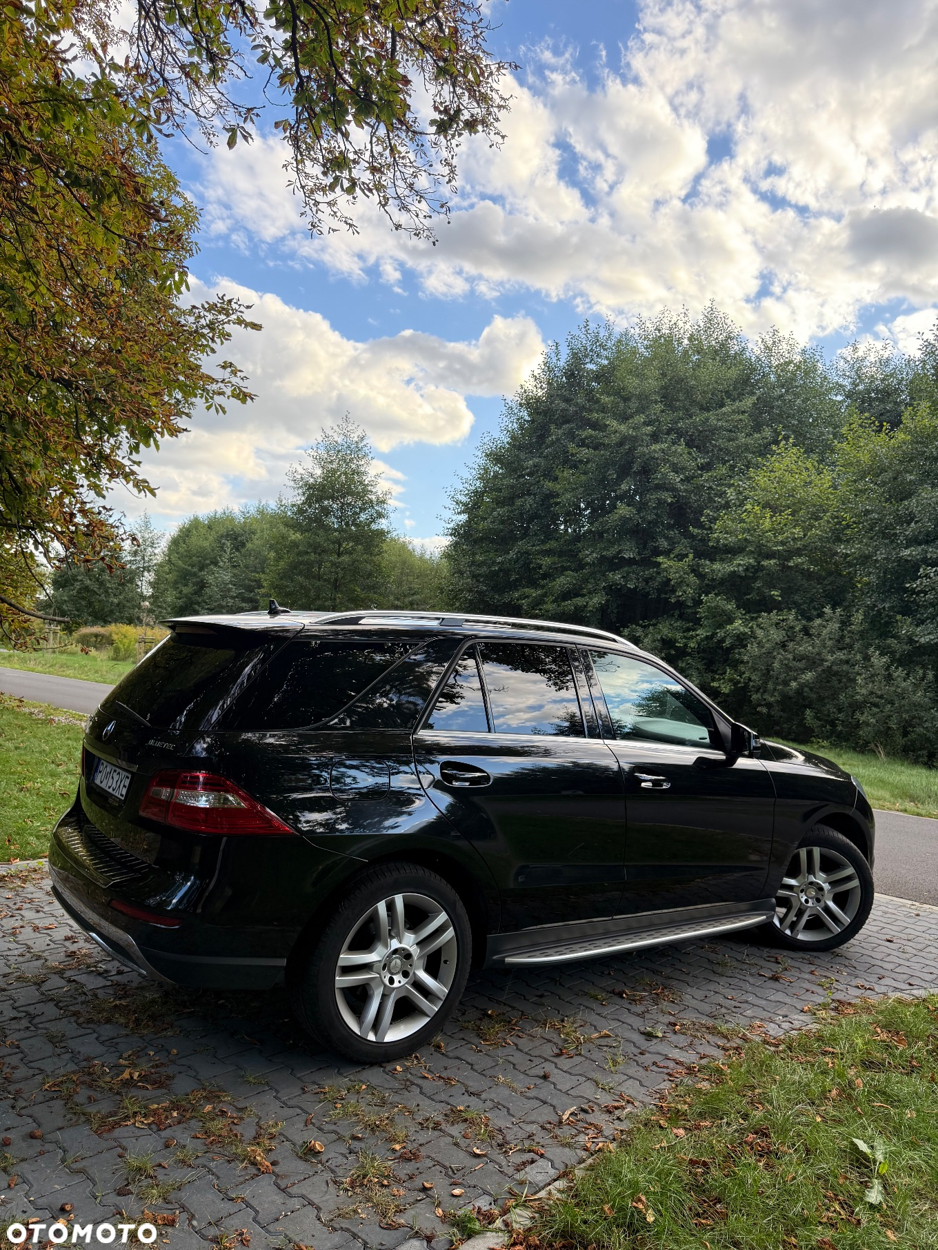 Mercedes-Benz ML 350 BlueTec 4-Matic - 10