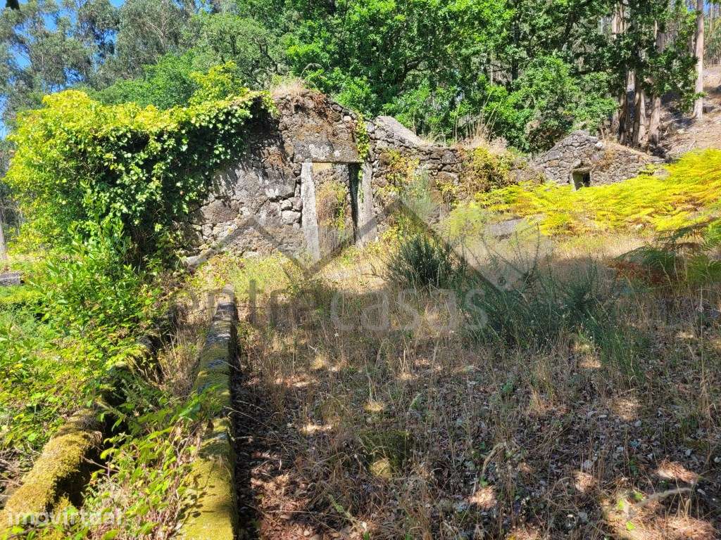 Casa em Ruínas - Refúgio Único em Plena Natureza - Grande imagem: 5/12