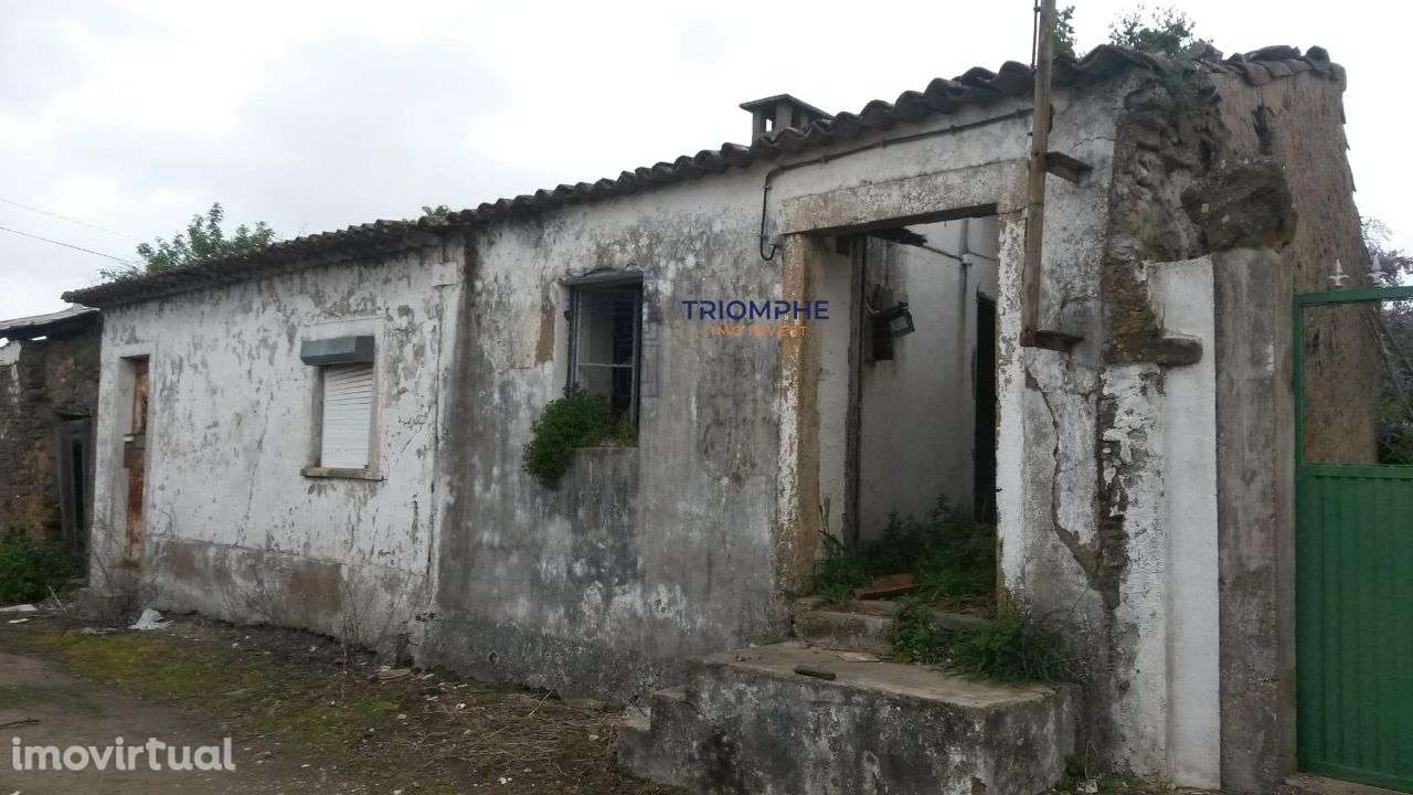 Ruína no Carvalhal, Tomar - Grande imagem: 2/4