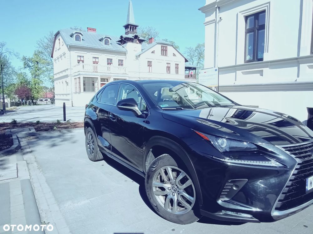 Lexus NX - 14