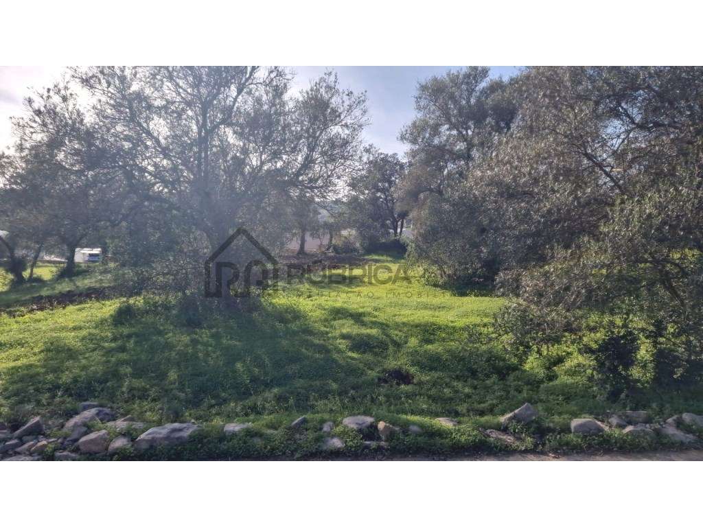 Terreno urbano para construção - São Brás de Alportel - Grande imagem: 3/17