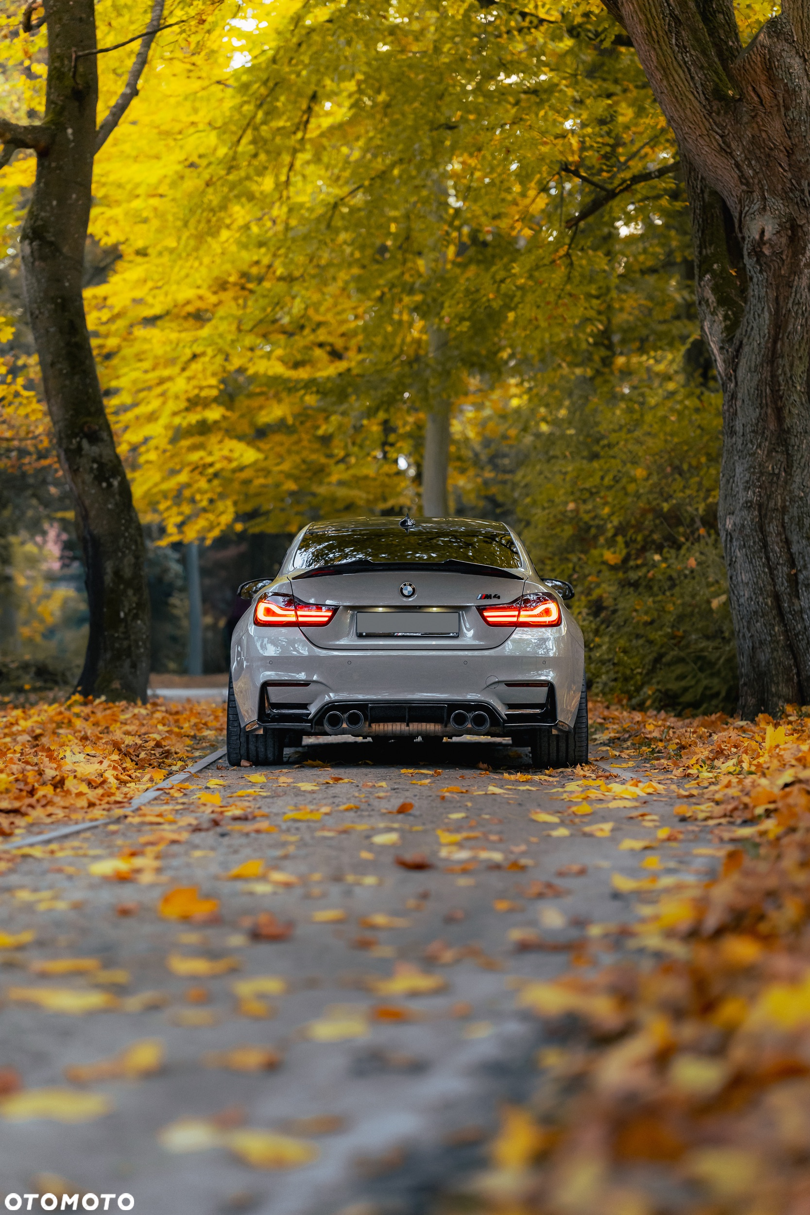 BMW M4 Competition GPF DKG - 20