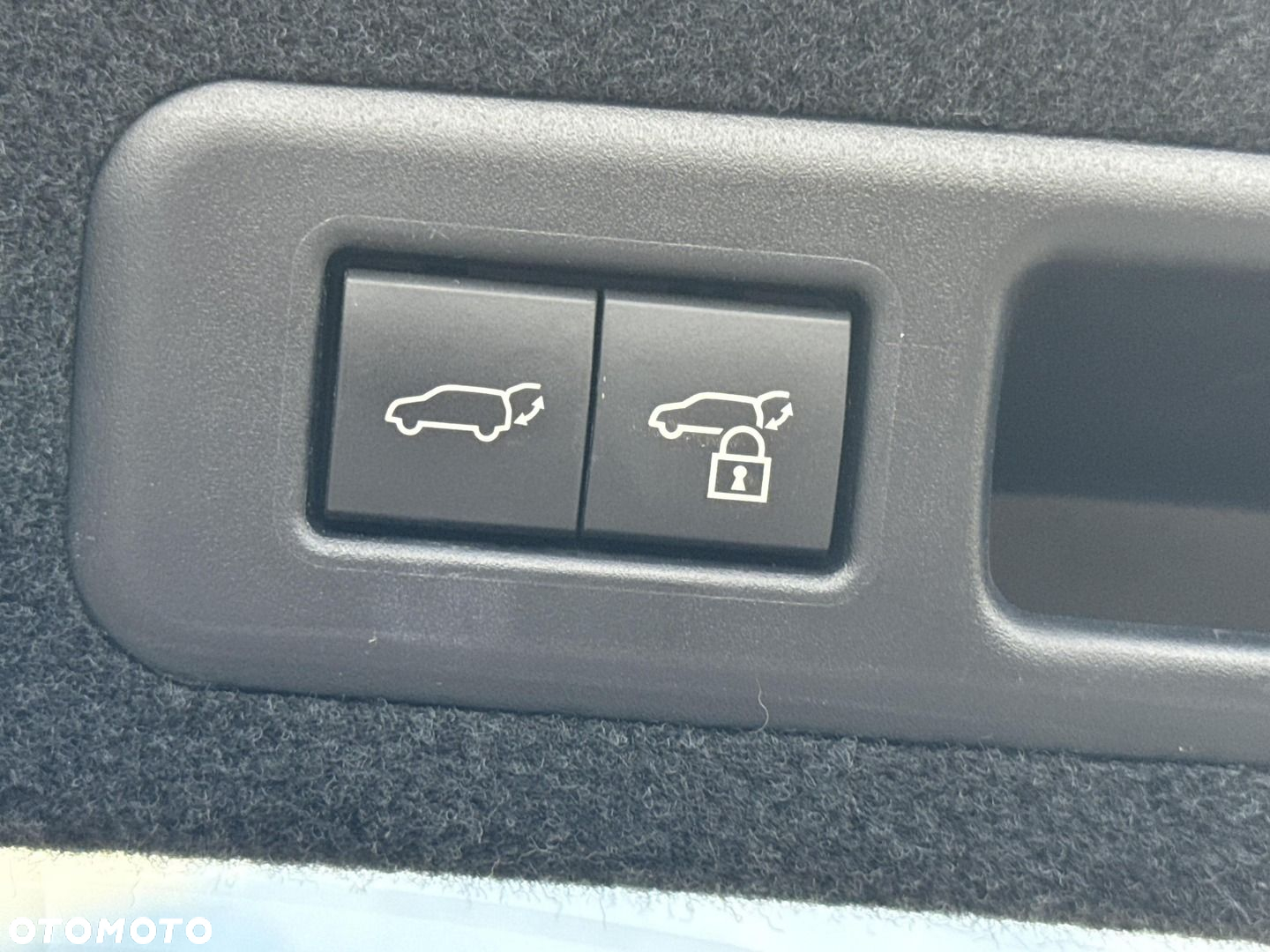 Lexus RX 450h F-Impression - 24
