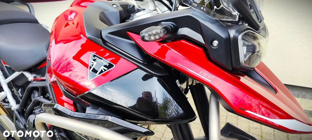 Triumph Tiger - 15