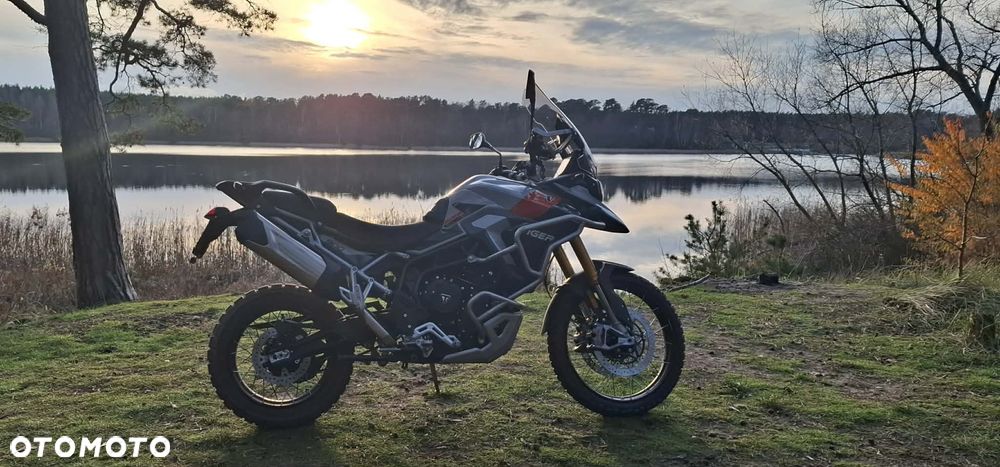 Triumph Tiger - 30