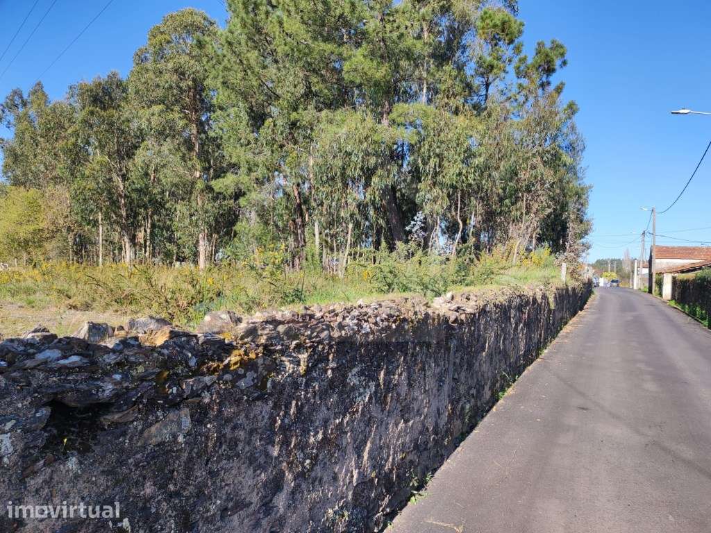 Terreno Urbano com 7500m2 em Souto, Santa Maria da Feira - Grande imagem: 3/5