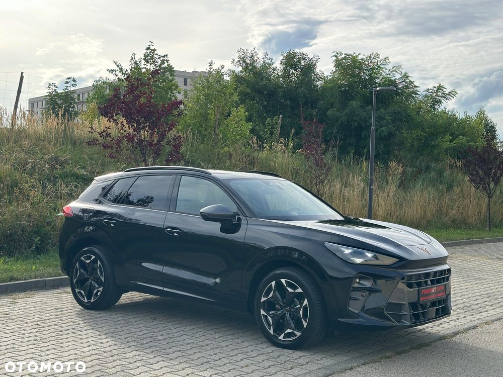 Cupra Terramar 2.0 TSI 4Drive DSG VZ - 18