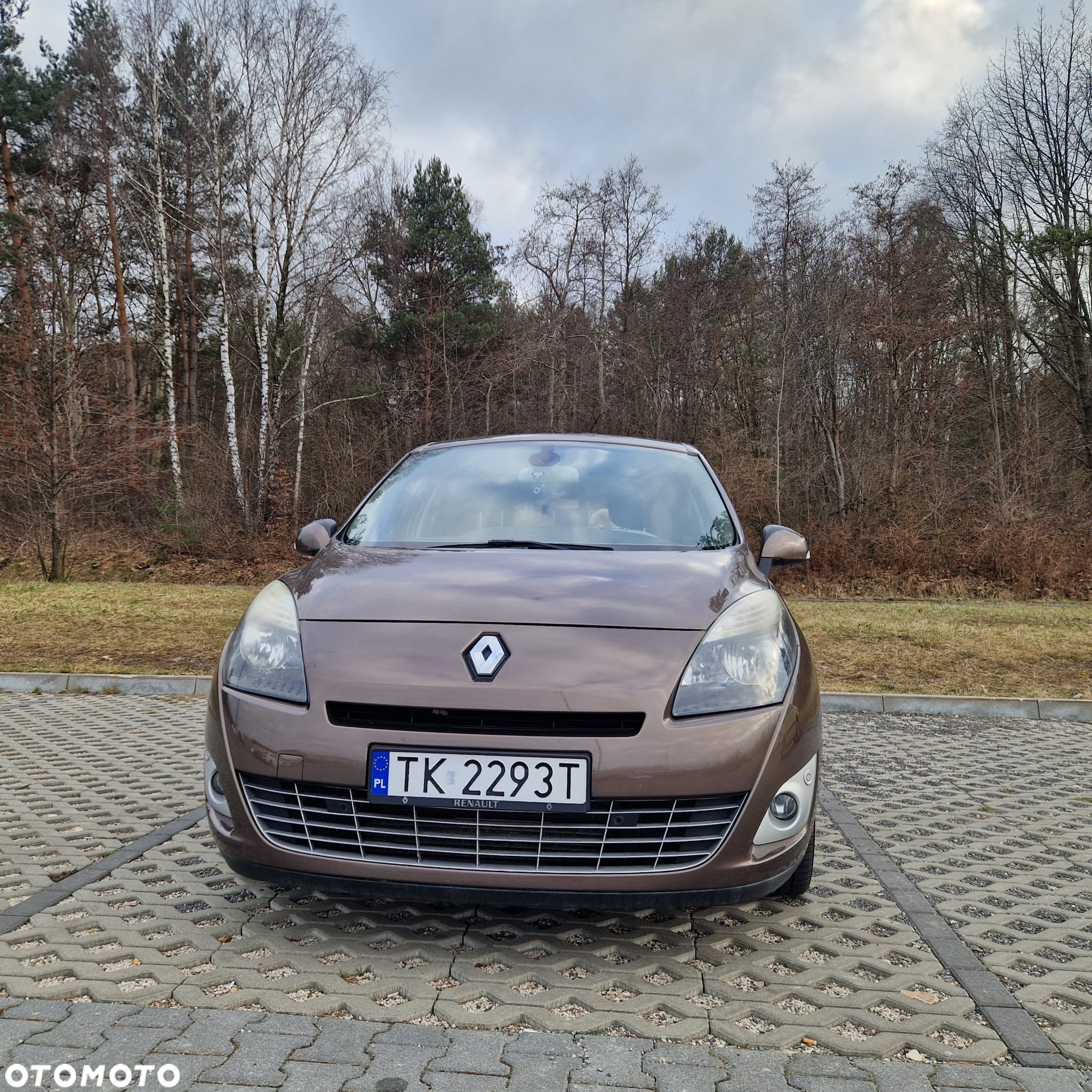 Renault Scenic - 7