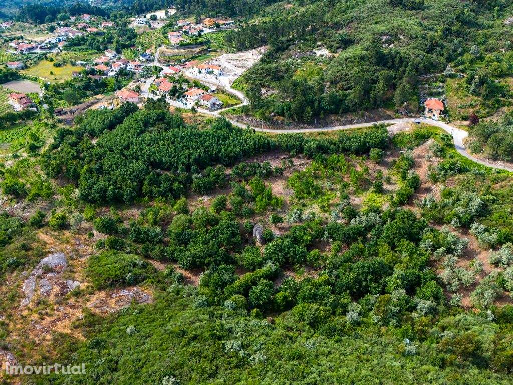 Quinta com 15 Hectares em Lufrei, Amarante  Oportunidade Única! - Grande imagem: 2/20