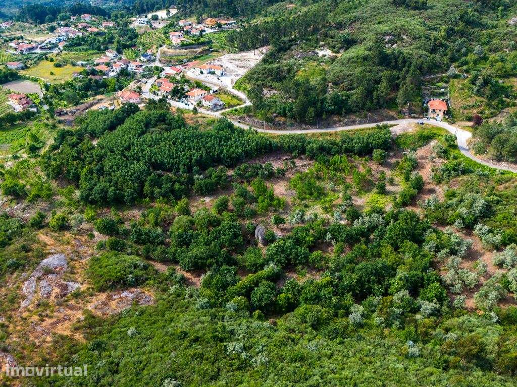 Quinta com 15 Hectares em Lufrei, Amarante  Oportunidade Única! - Grande imagem: 2/20