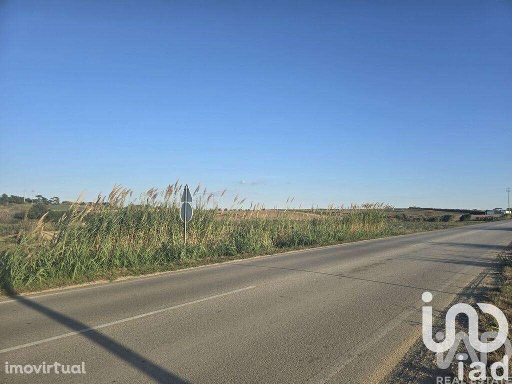 Terreno Agrícola em Atouguia da Baleia - Grande imagem: 4/8