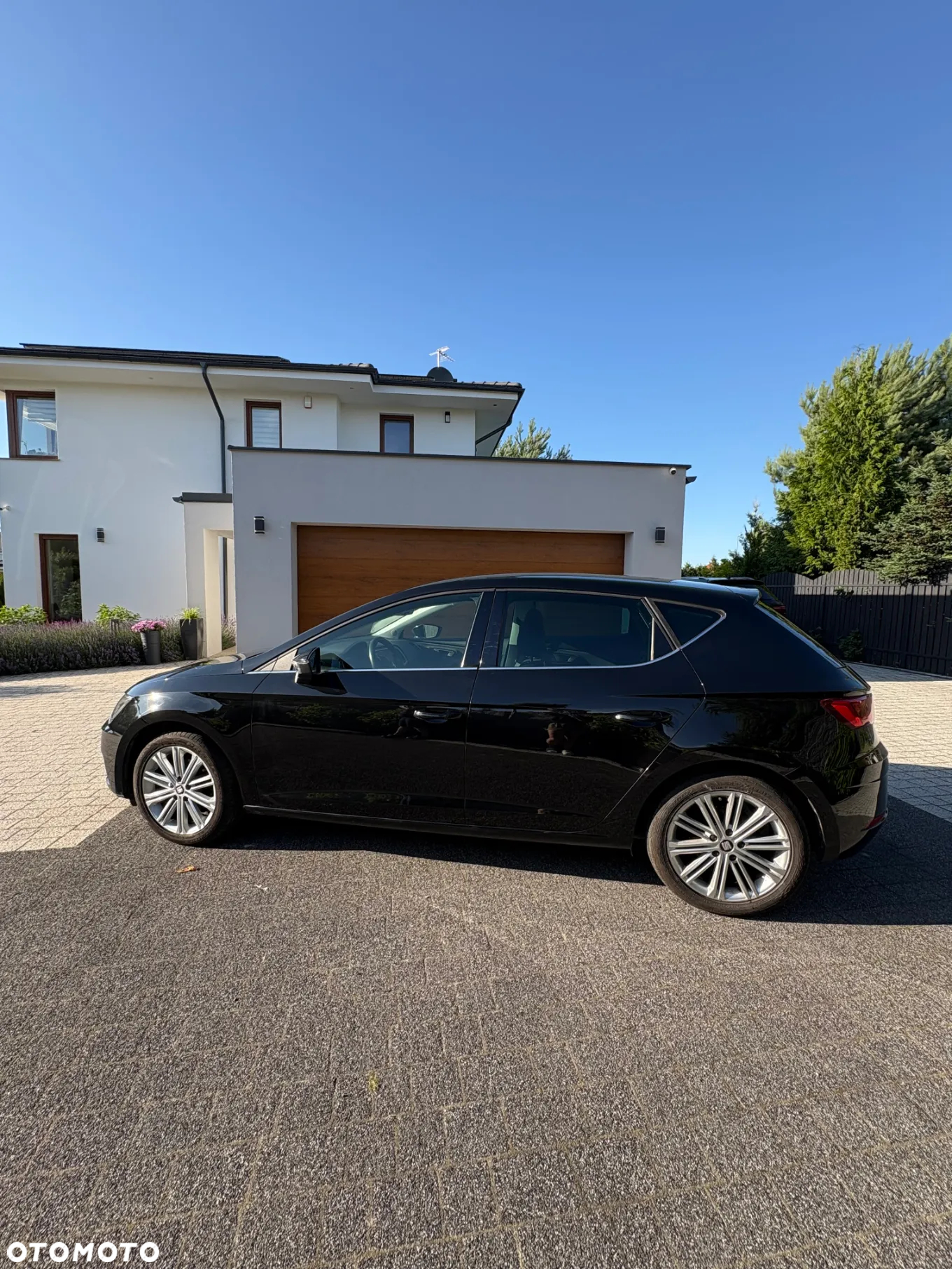Seat Leon 1.5 EcoTSI Evo Xcellence S&S DSG - 17