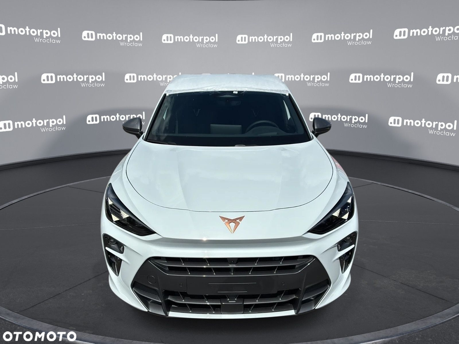 Cupra Terramar - 2