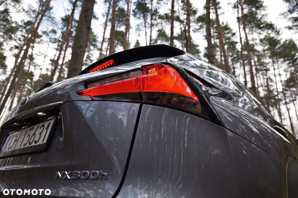 Lexus NX 300h Elegance AWD - 15