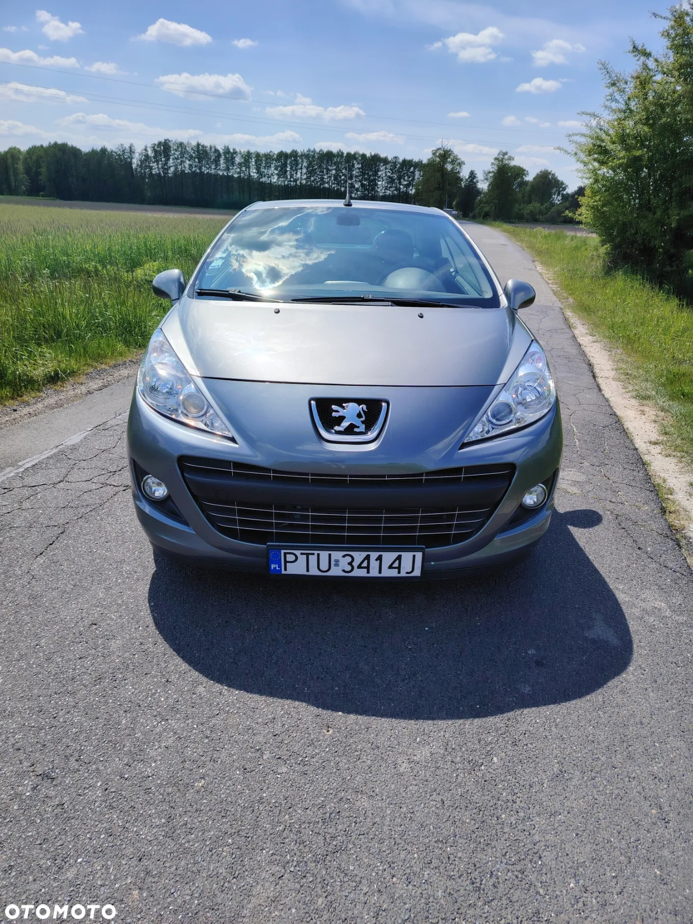 Peugeot 207 CC FAP 110 (Blue Lion) Platinum - 11