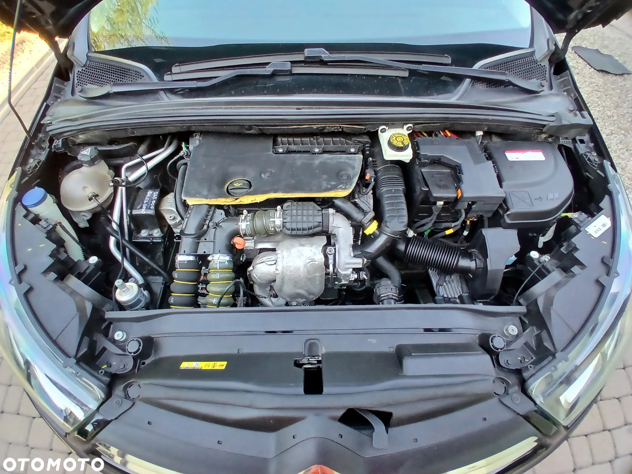 Citroën C4 - 40