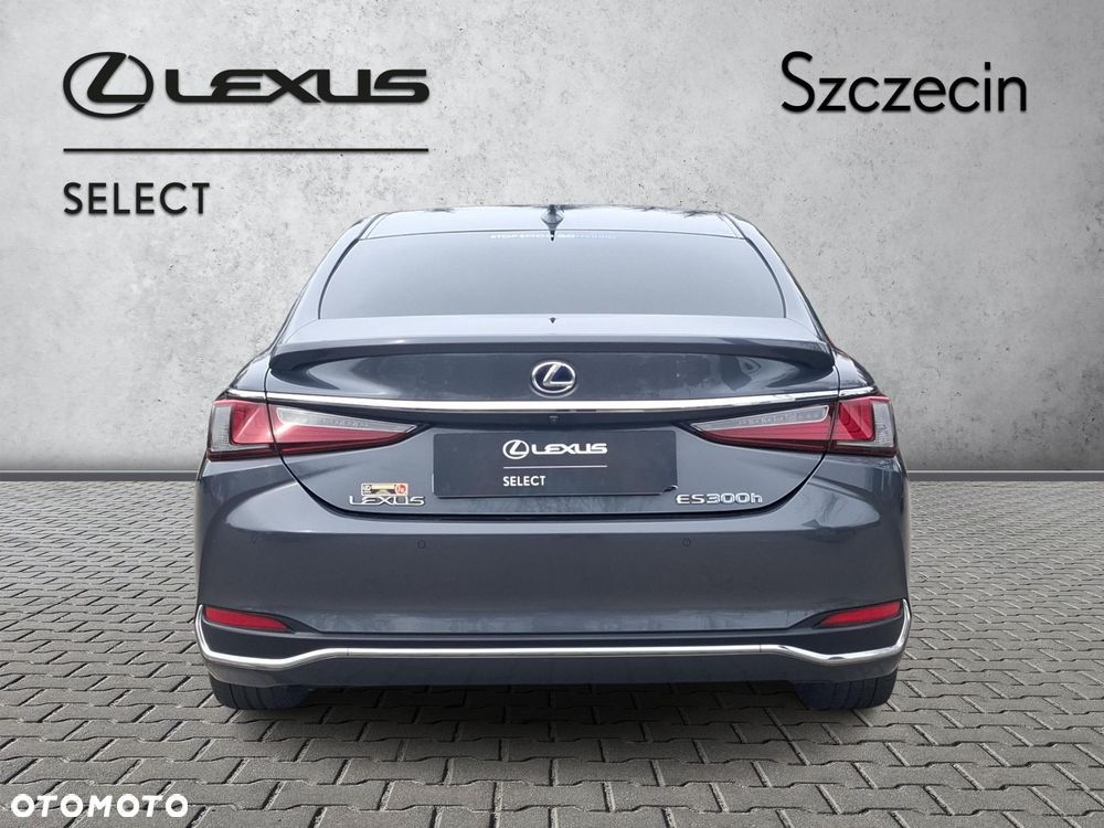 Lexus ES 300h Omotenashi - 4