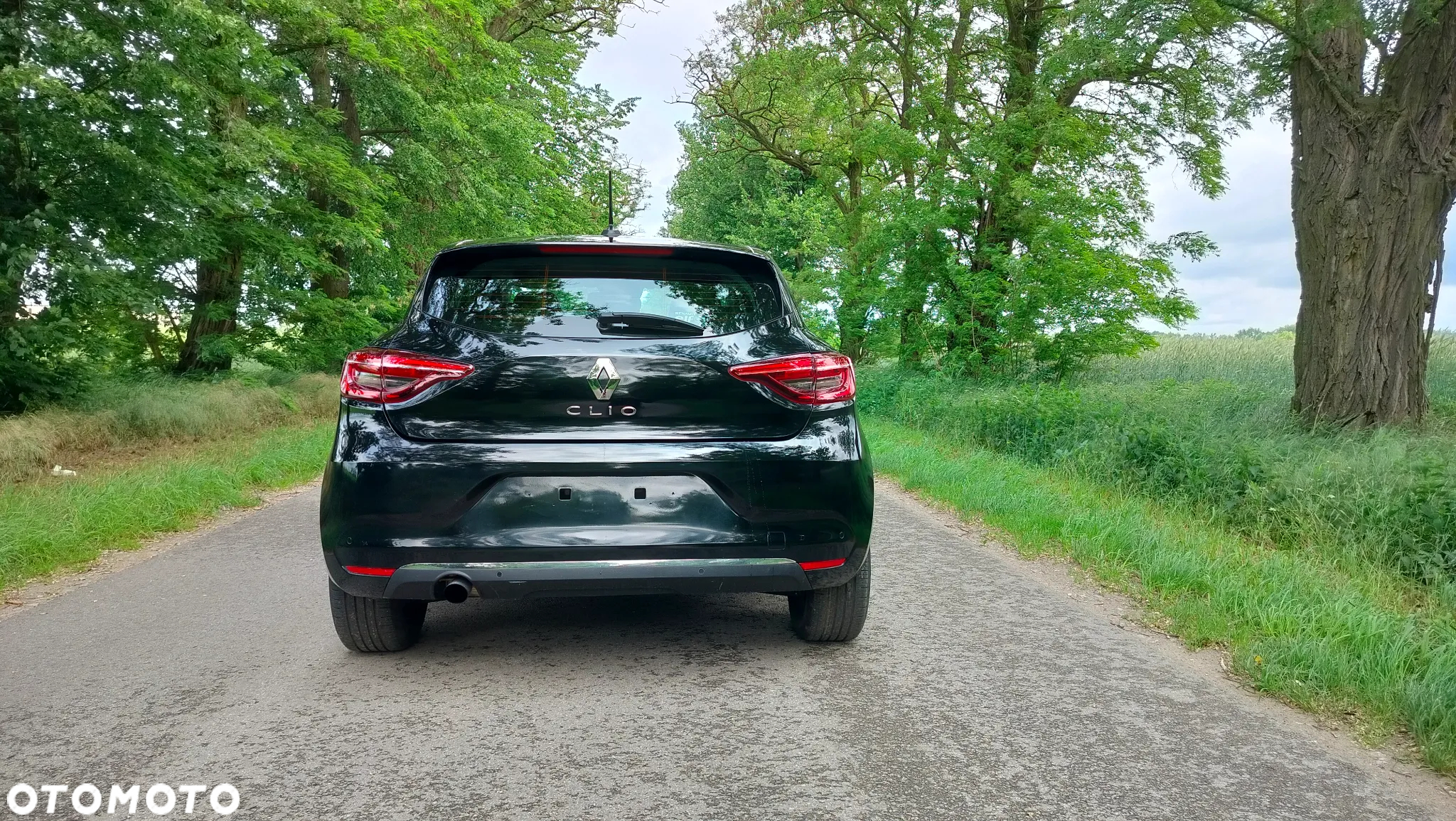 Renault Clio - 10