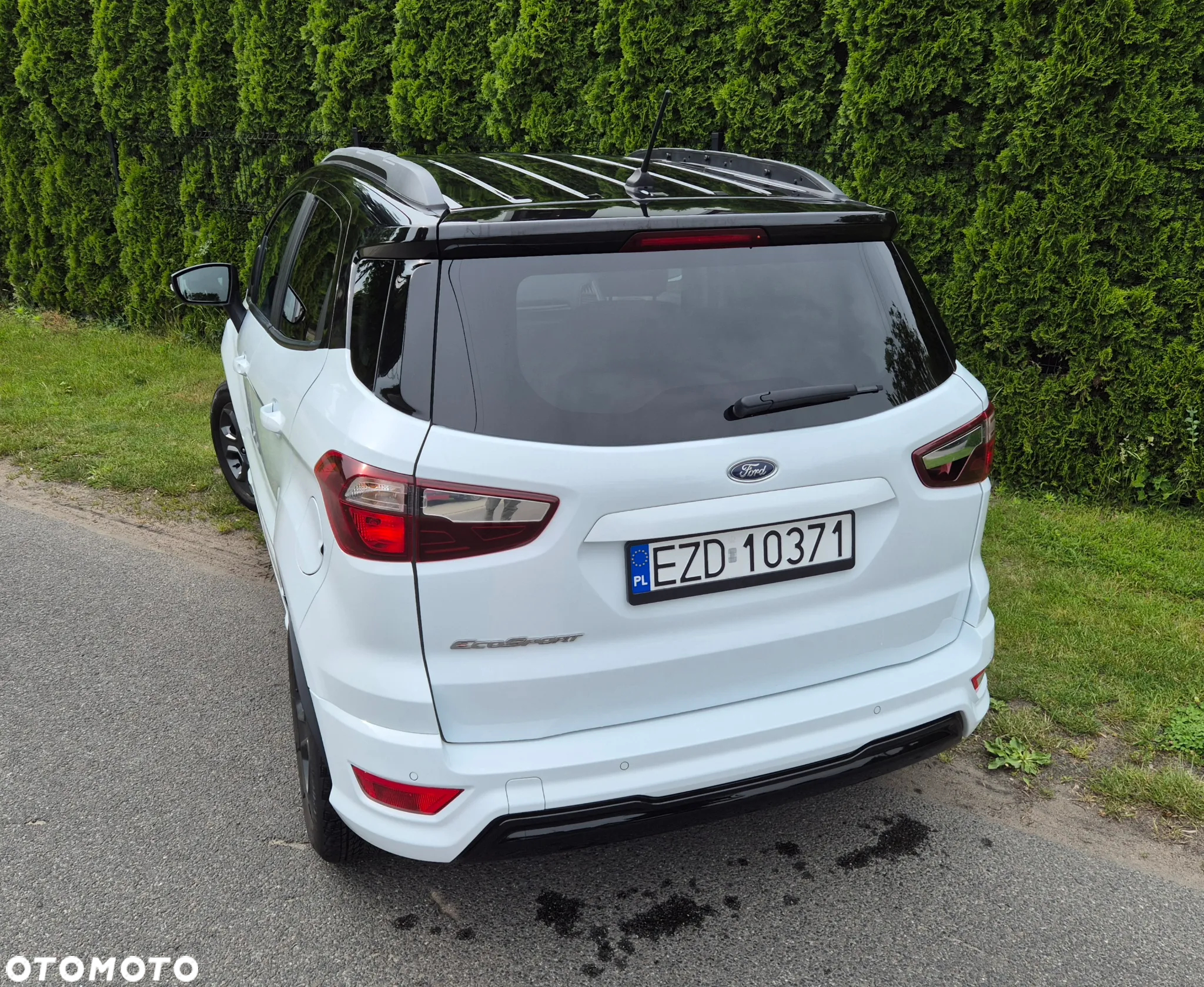 Ford Fiesta - 30