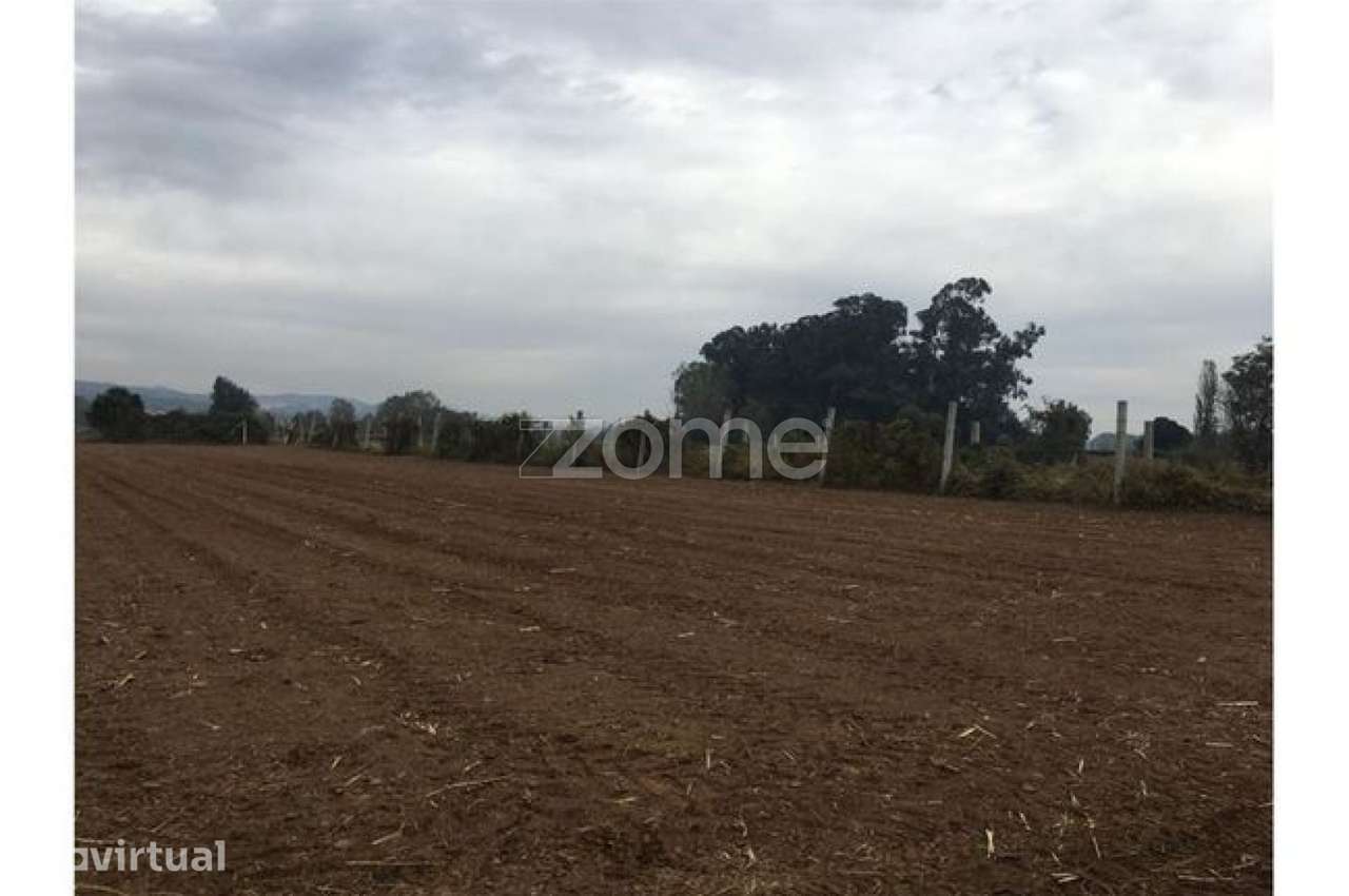 Terreno para Cultivo - Grande imagem: 2/5