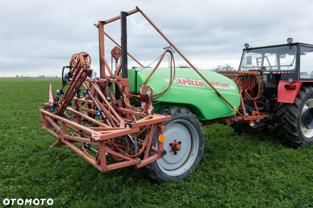 Krukowiak Apollo - 8