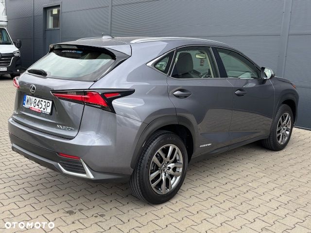 Lexus NX - 15