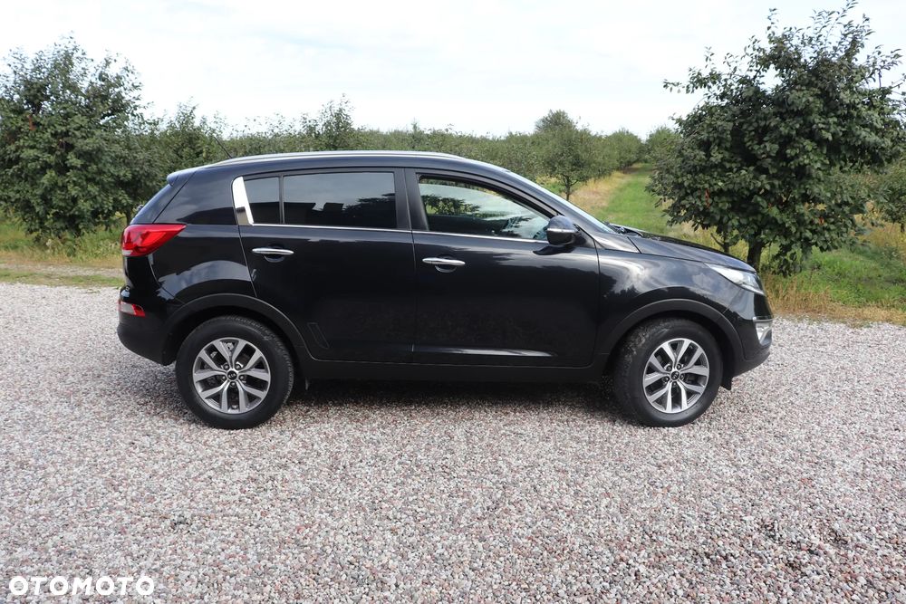 Kia Sportage 1.6 GDI Business Line L 2WD - 14
