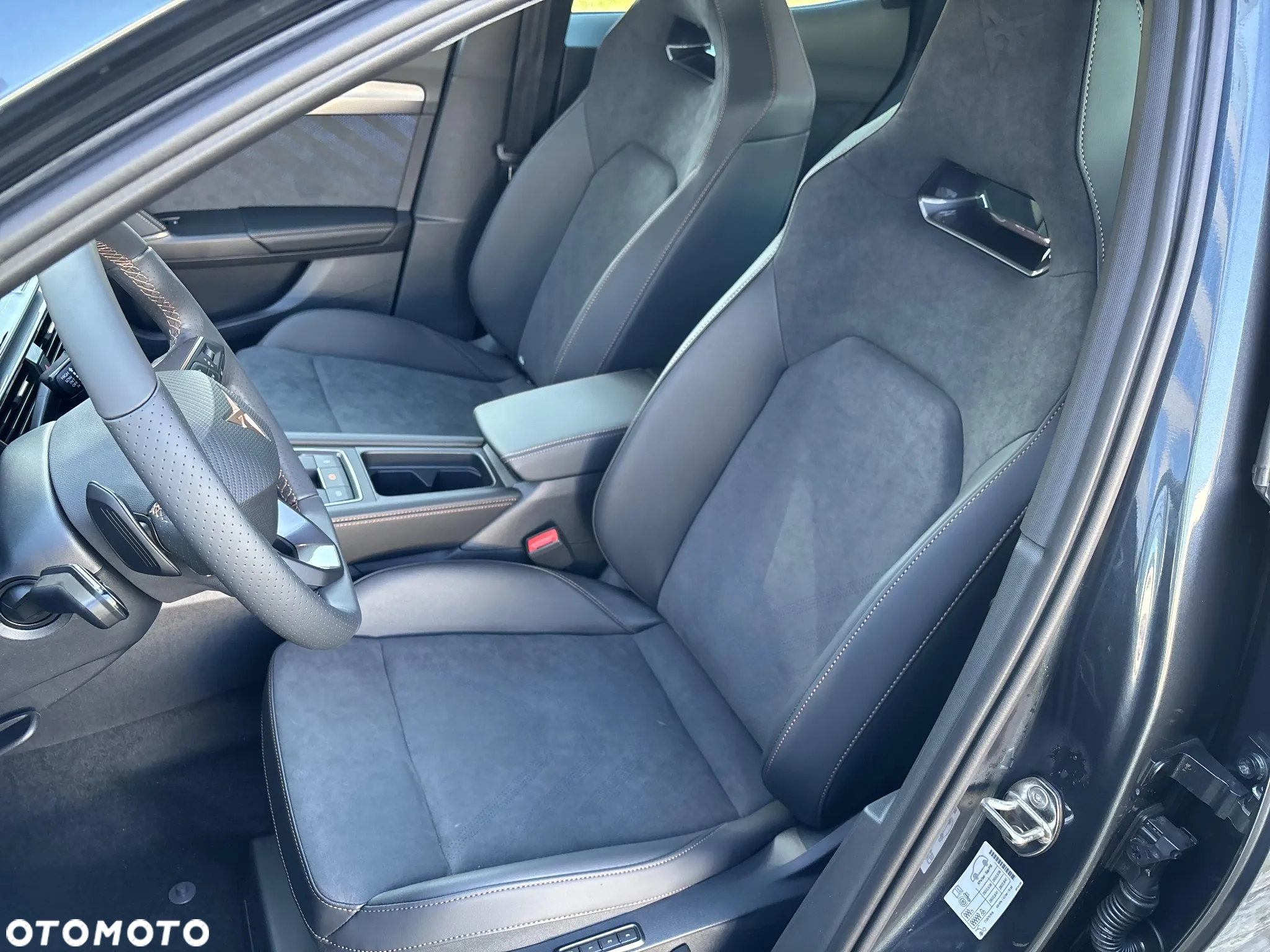 Cupra Formentor 2.0 TSI 4Drive DSG - 10