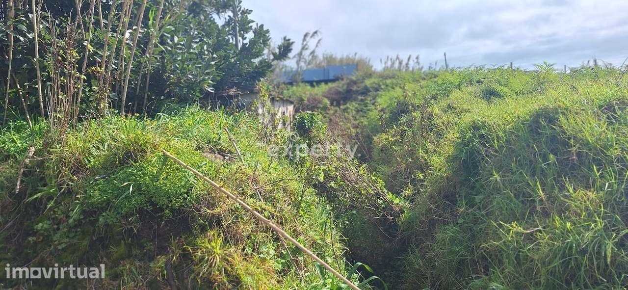 Moradia T2  em ruína para recuperar na Calheta, Madeira - Grande imagem: 4/31