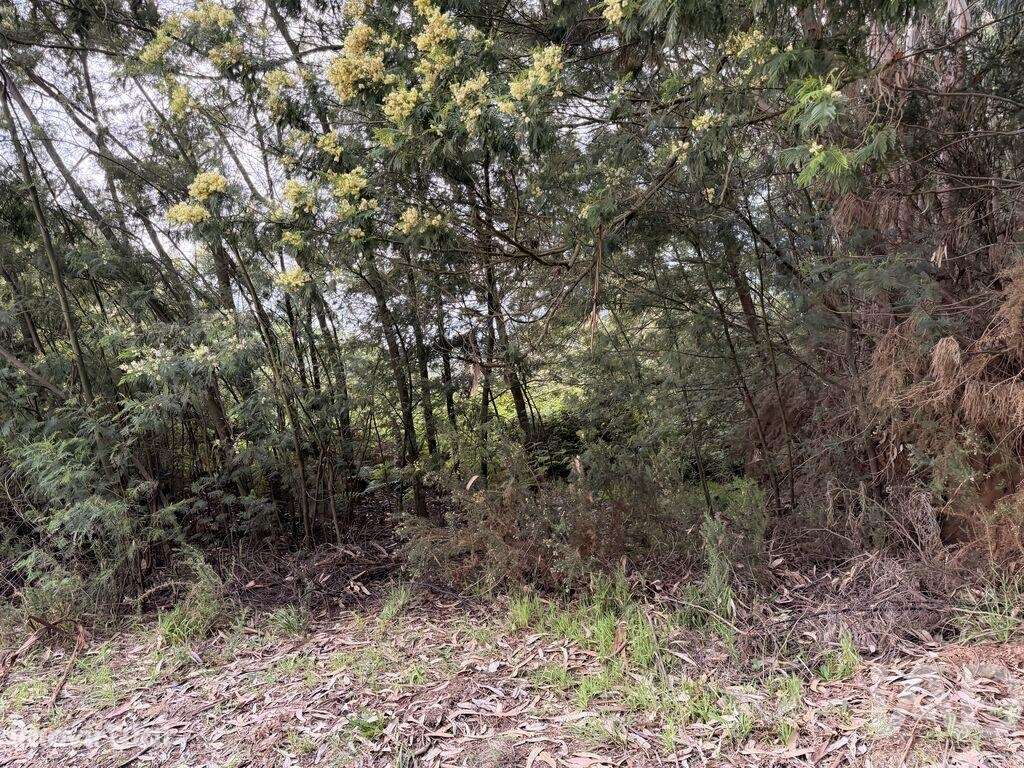 Terreno para construção em Santa Cruz - Grande imagem: 4/16