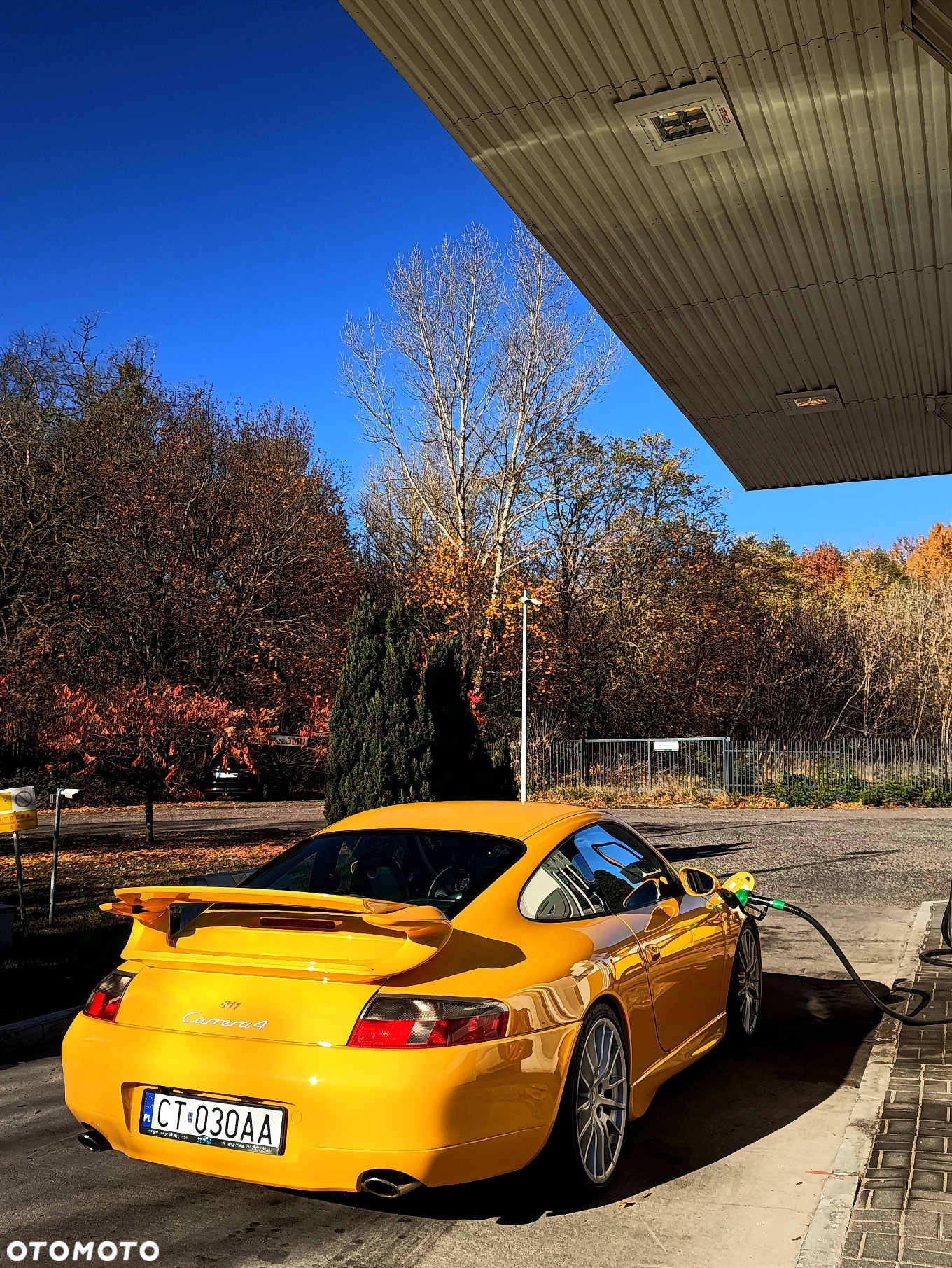 Porsche 911 - 6