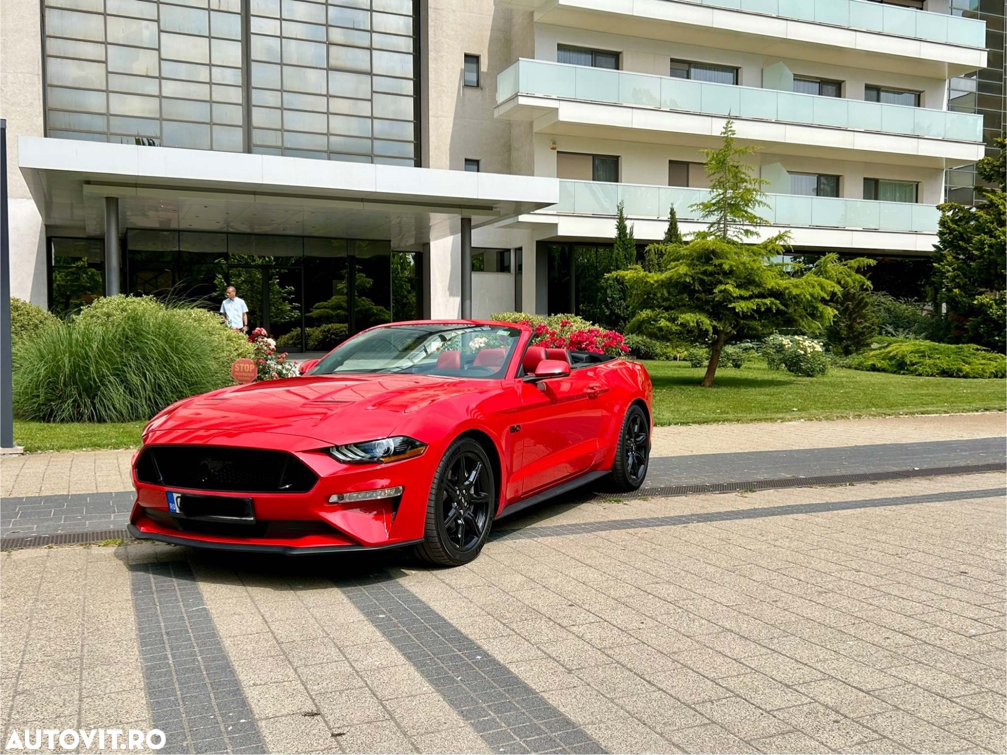 Ford Mustang 5.0 V8 Aut. GT - 6