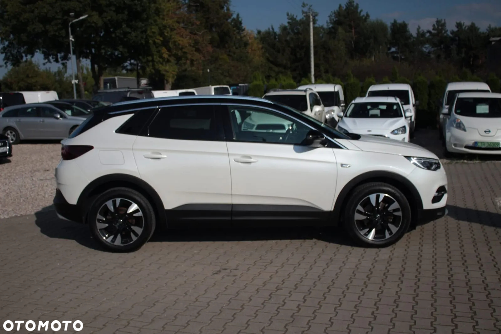 Opel Grandland X 1.6 D Start/Stop Business Edition - 7