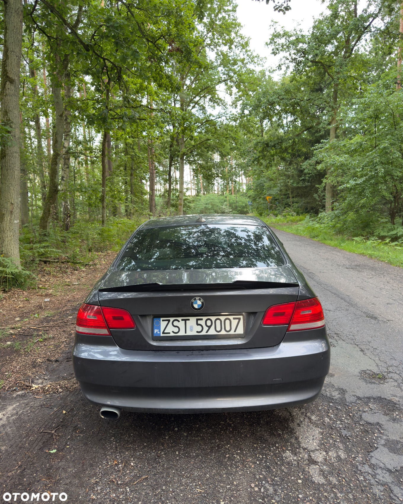BMW Seria 3 - 10
