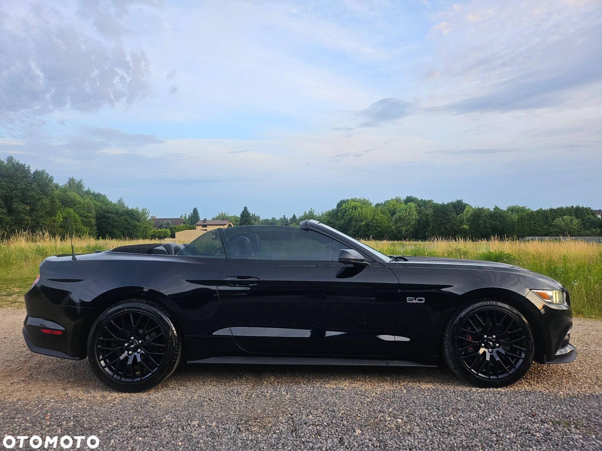 Ford Mustang - 31