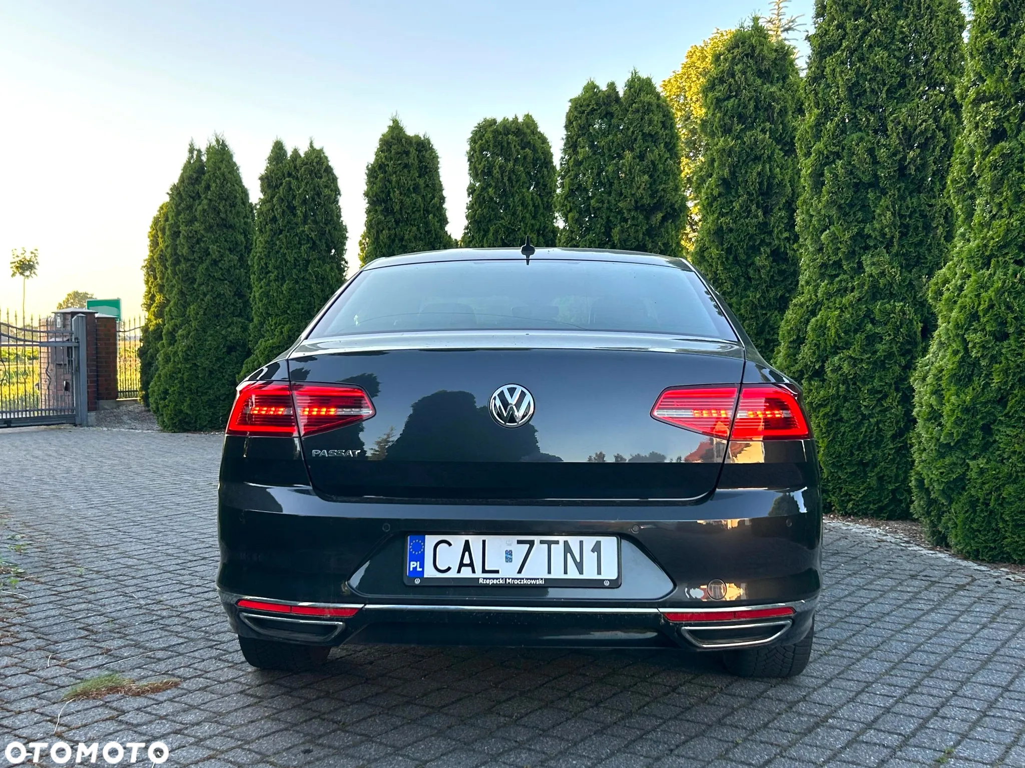 Volkswagen Passat - 8
