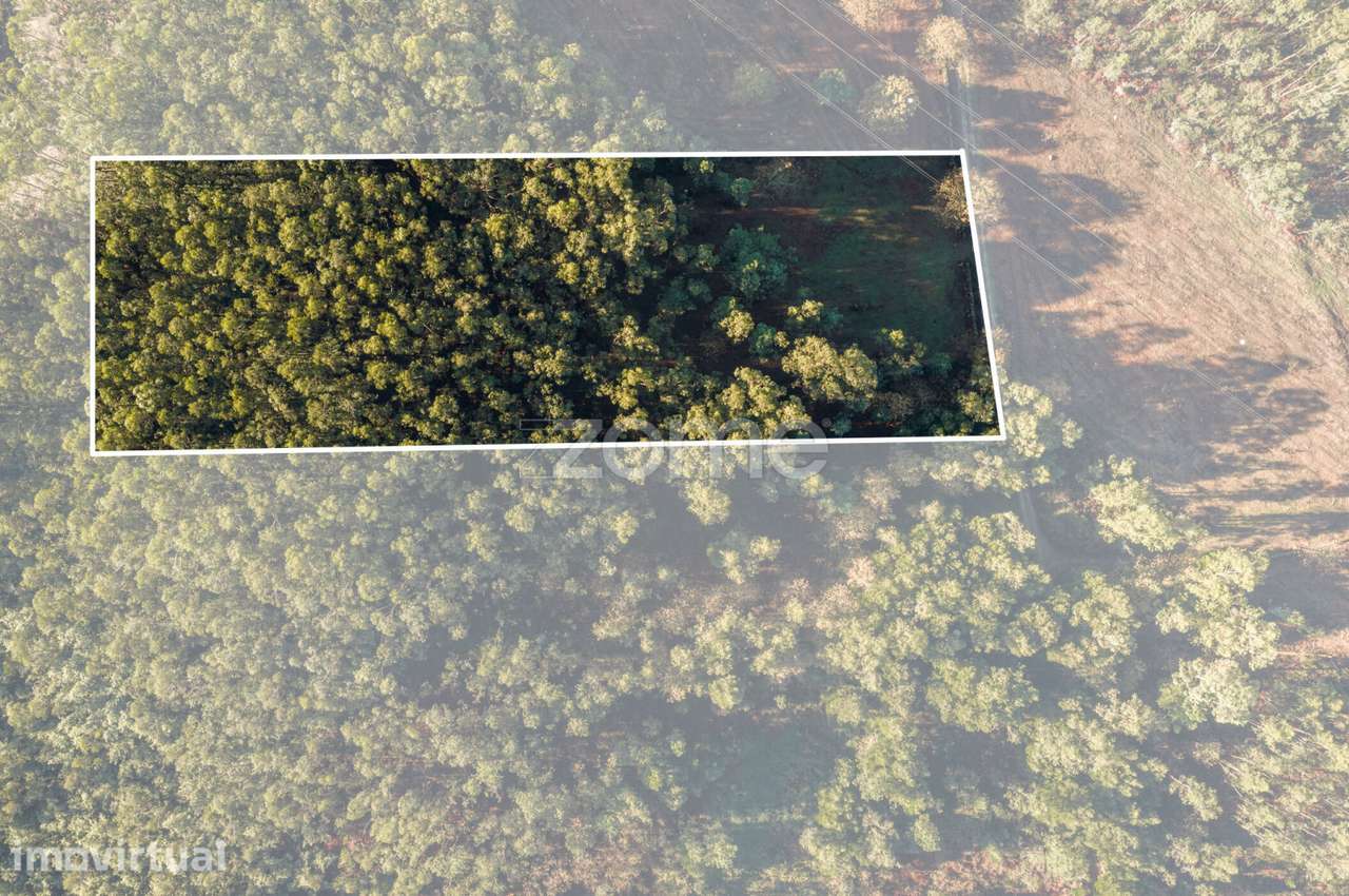 Terreno Rústico com 3.930 m2 na Carvalhosa, Paços de Ferreira - Grande imagem: 2/15