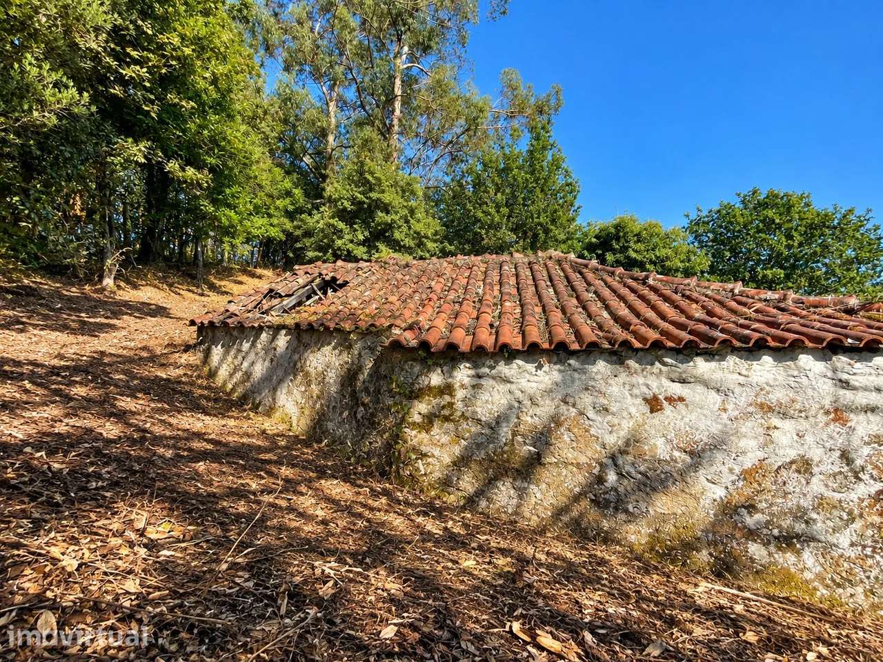 Propriedade com Duas Moradias em Ruína e Terreno boscoso em Gondoriz, - Grande imagem: 5/20