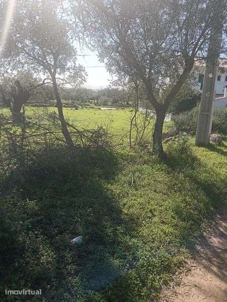Vende-se terreno - Grande imagem: 3/8