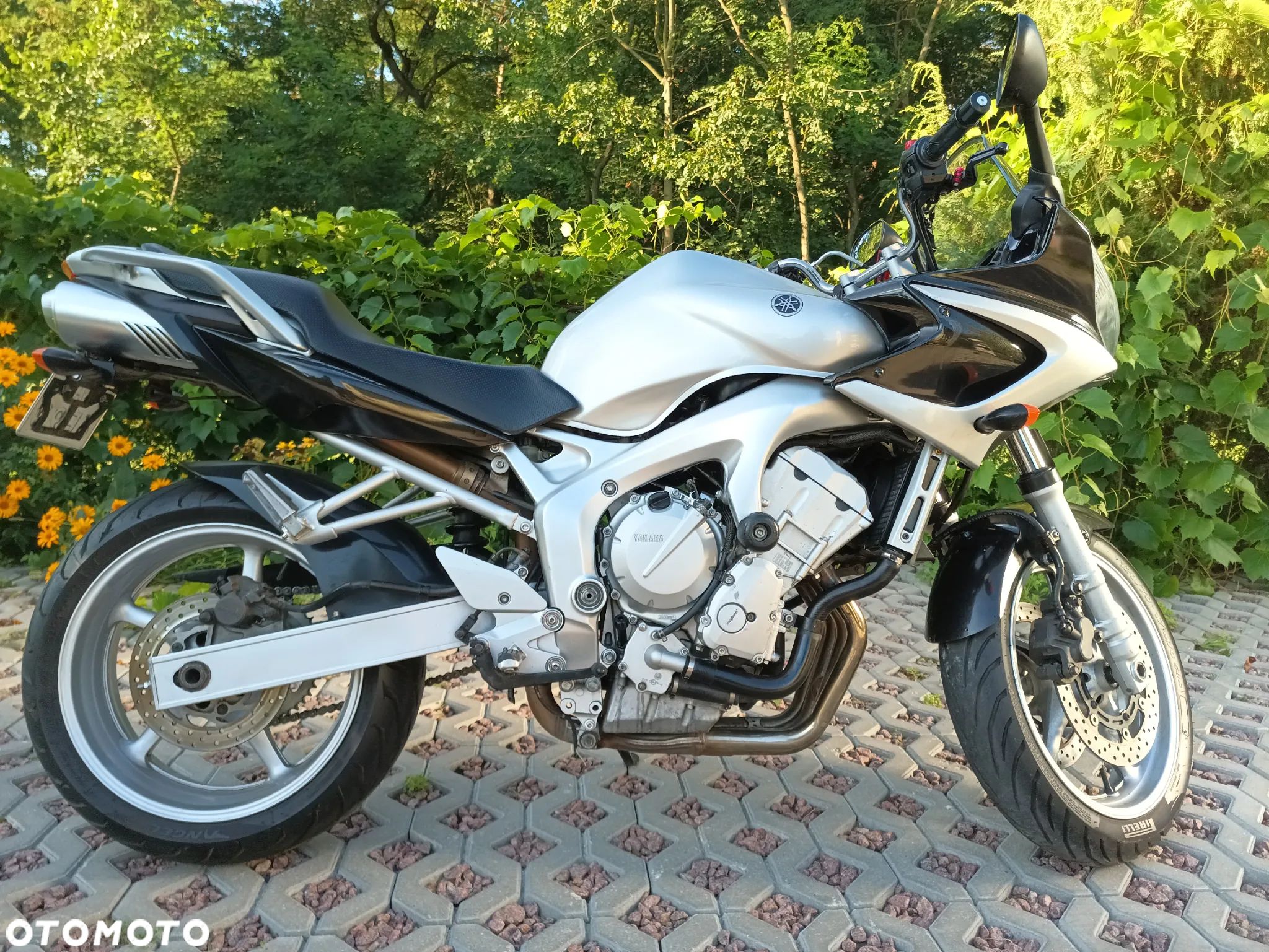 Yamaha FZ6 - 1
